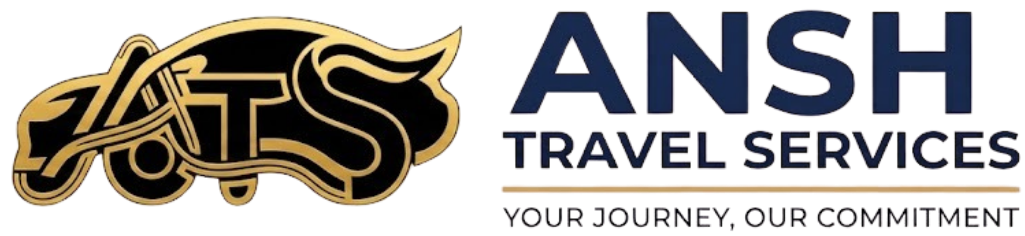 Ansh Travel Services